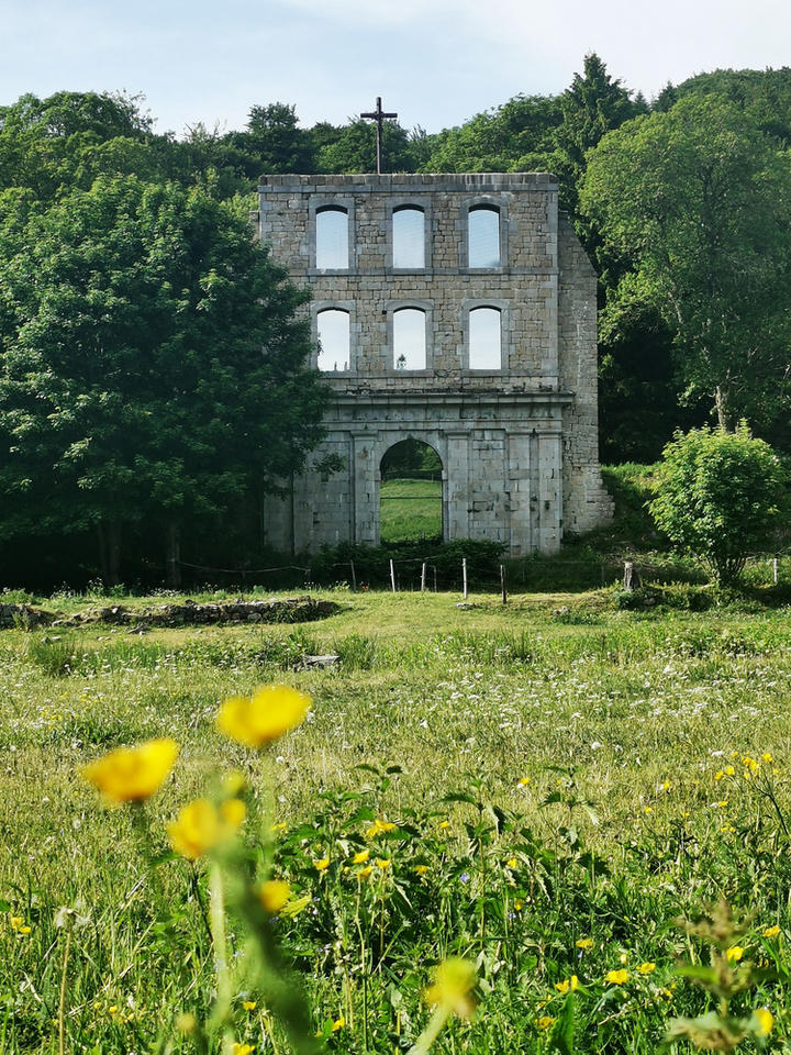Ruines de la Chartreuse de Bonnefoy